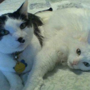 Meet your Posher, Christina